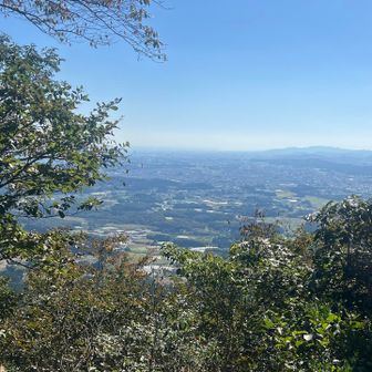 山頂からの景色