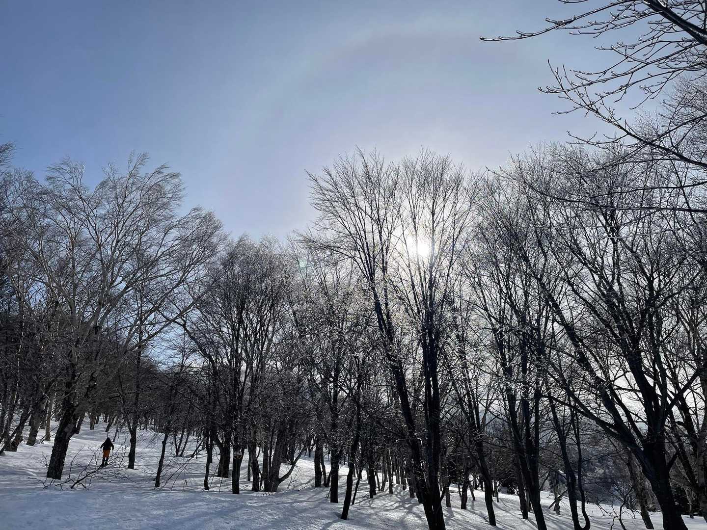 八甲田大岳登山口-小岳 往復コースの写真