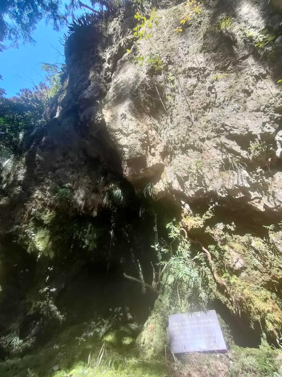 　女性の病の神だそう
　しっかり御参りしました🙏🏻