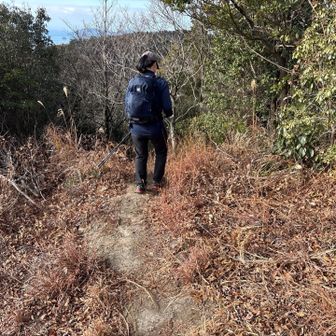 どんどん行きますよー