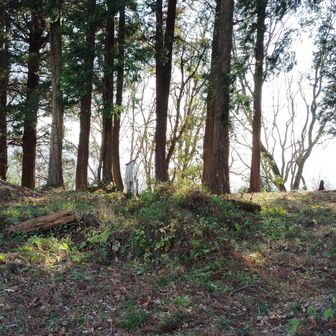 着いた
後で知ったけど、城跡はここじゃない