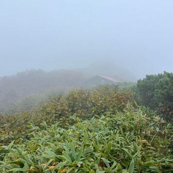 利尻山避難小屋🛖