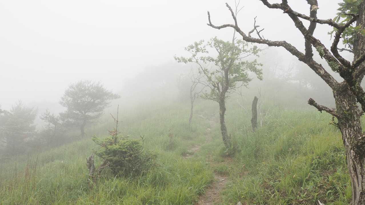中央分水嶺トレイル（長門牧場〜白樺湖〜八島湿原〜三峰山〜美ヶ原）、2daysスルーハイク の写真 28