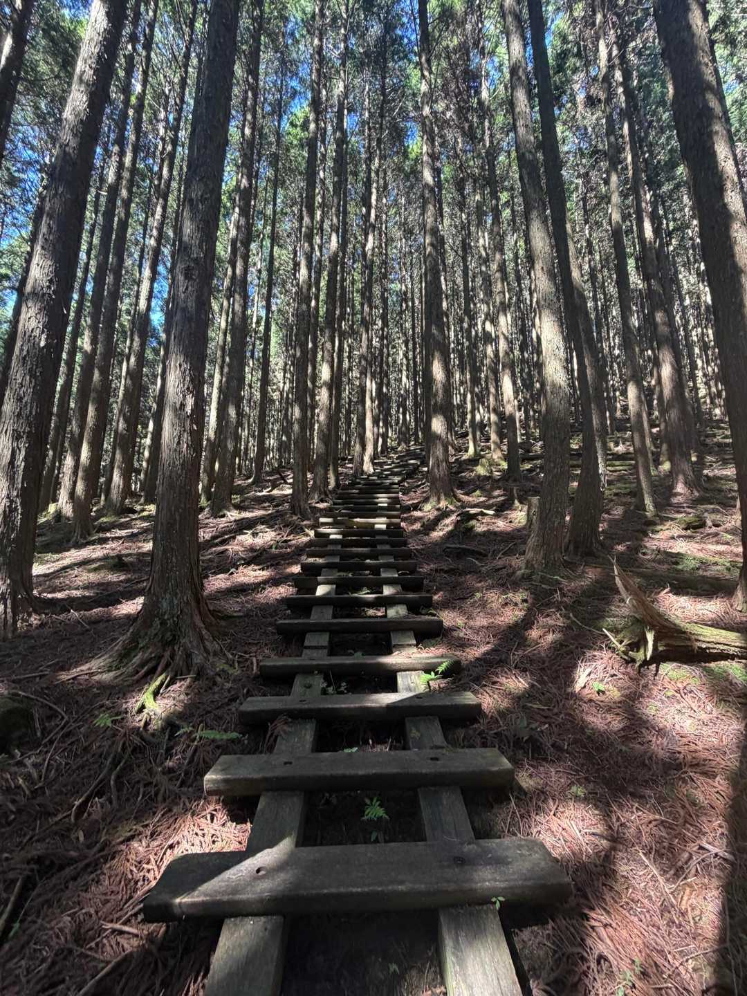 いきなり階段地獄😨