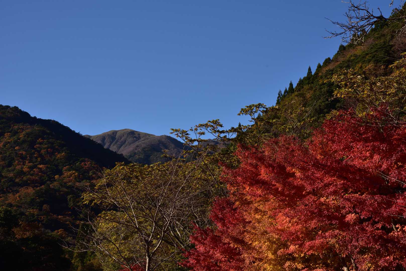 駐車場の紅葉と竜ヶ岳山頂