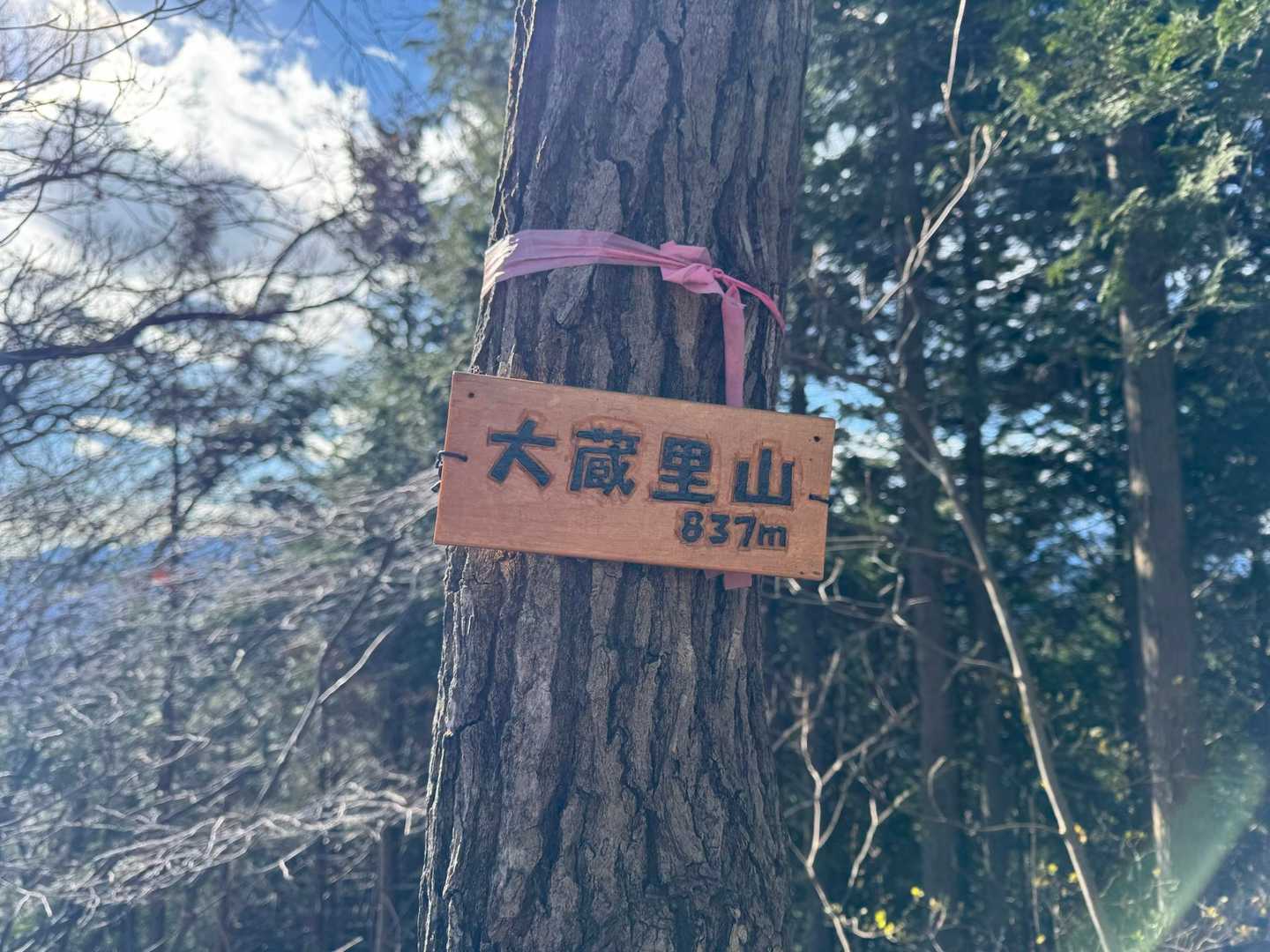 上川乗バス停-浅間峠-栗坂峠-生藤山-連行峰-和田バス停 縦走コースの写真
