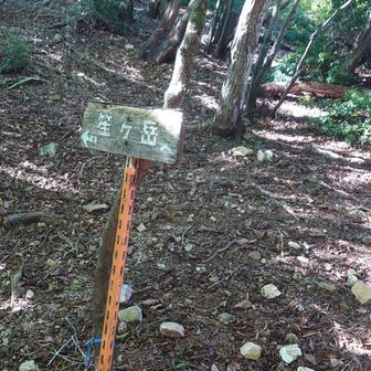 鞍部