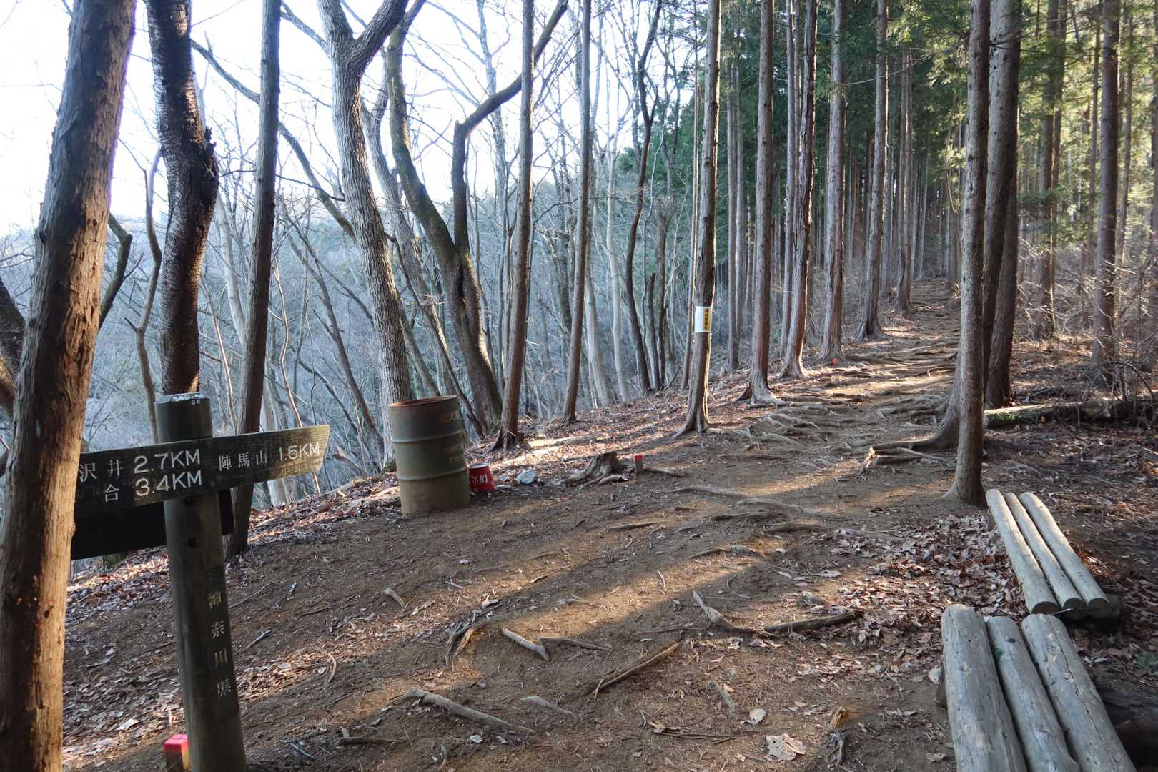 尾根に出ました
ここから山頂直下までは緩やかな坂道です