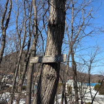 小ナマコ山頂

全部階段だから歩けて嬉しい☺️