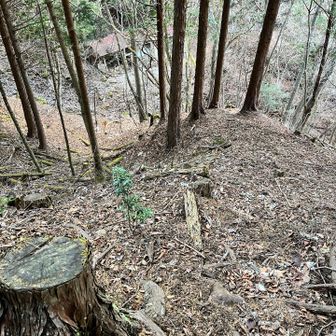 地図と睨めつこしながら、点線ルートを歩く。

行きに通った小屋が見えてきた︎︎👍🏻