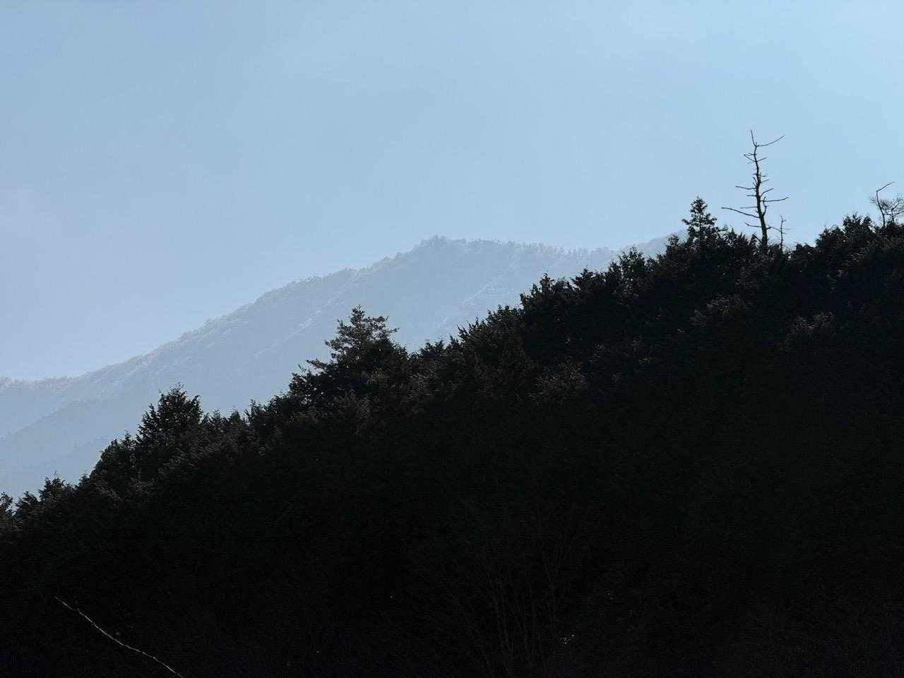アップ　登って来たどうー