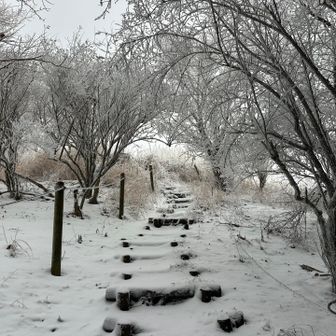 急登が終えるとまもなく展望台