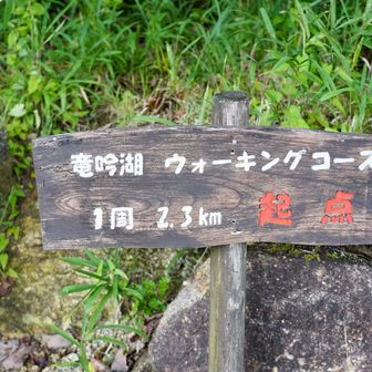 湖を1周するはずだったけど、雨が降り出してきたので、水晶山へ向かう🚶‍♀️