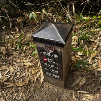 池は見えませんが....