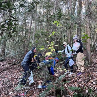 倒木が多い
写真を撮るだけの自分