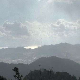 雪がしっかりと舞い始めました