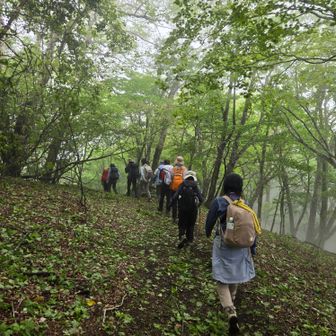 靄っていて幻想的な山道を歩きます😥～ツアーでよかった😉👍