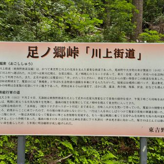 足ノ郷峠。以降はしばらく舗装路に。