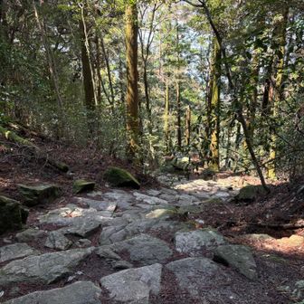 ひたすら階段地獄😇