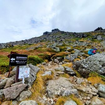 南沼野営指定地への分岐
標高1980m
あと160mです
ここからガレ場を登ります
またもや羅臼岳っぽいですね
この手前でアルミシートに
くるまっていた方がいらっしゃいました
体調不良？怪我？