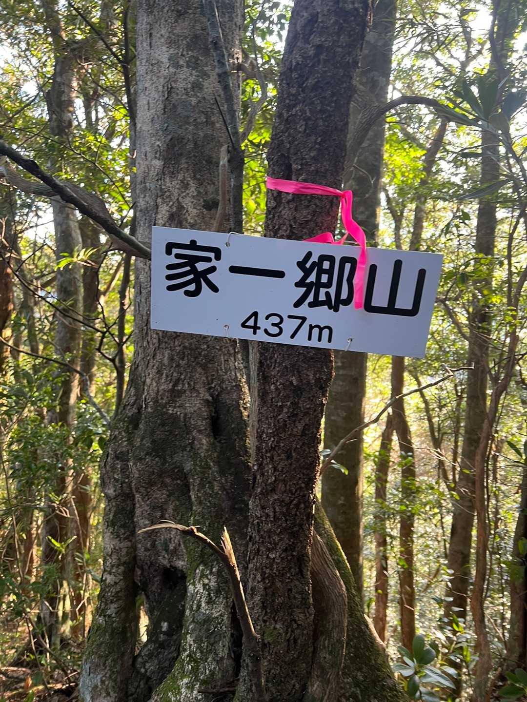 家一郷山の写真