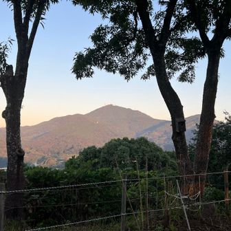 山頂から金峰山（665m）を望む