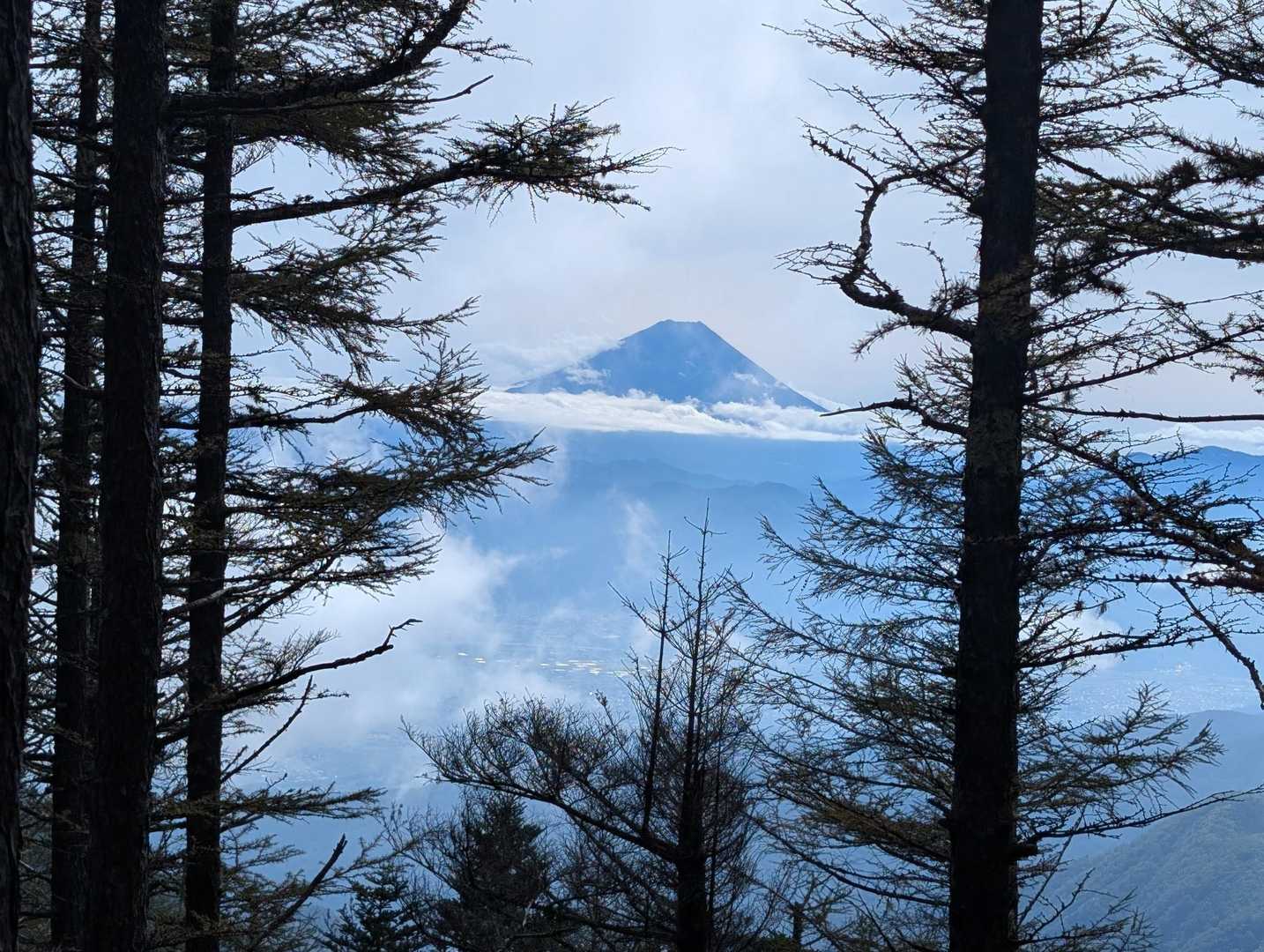 ずっと行ってみたかった千頭星山🌟 / koroponの登山データ | YAMAP / ヤマップ