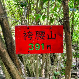 袴腰山の山頂は道沿いにありました。
展望なし、風は通ります🌬