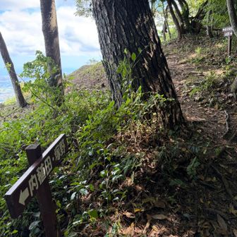 第二展望所では、草刈りをして下さった方が休憩中