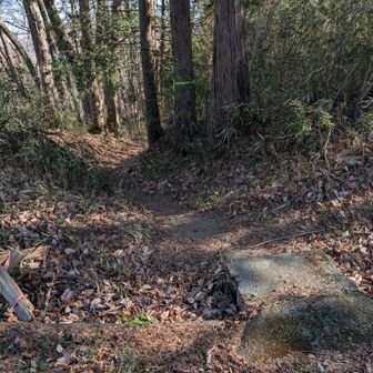 ロードから山道へ