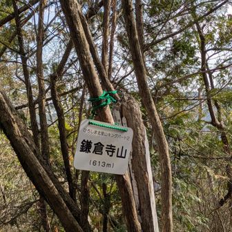 里山キングパート2の「鎌倉寺山」プレート