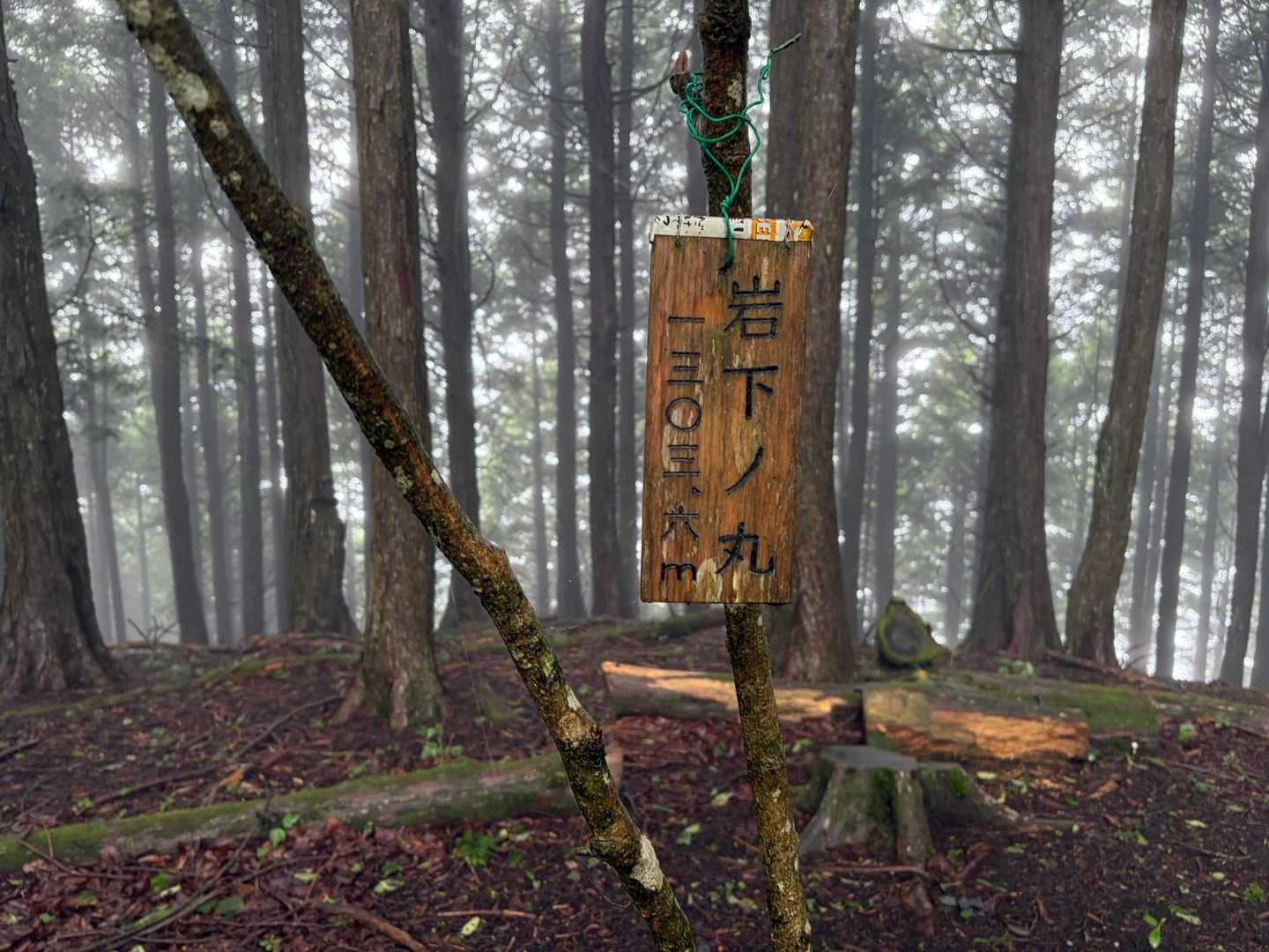 岩下ノ丸 登頂！