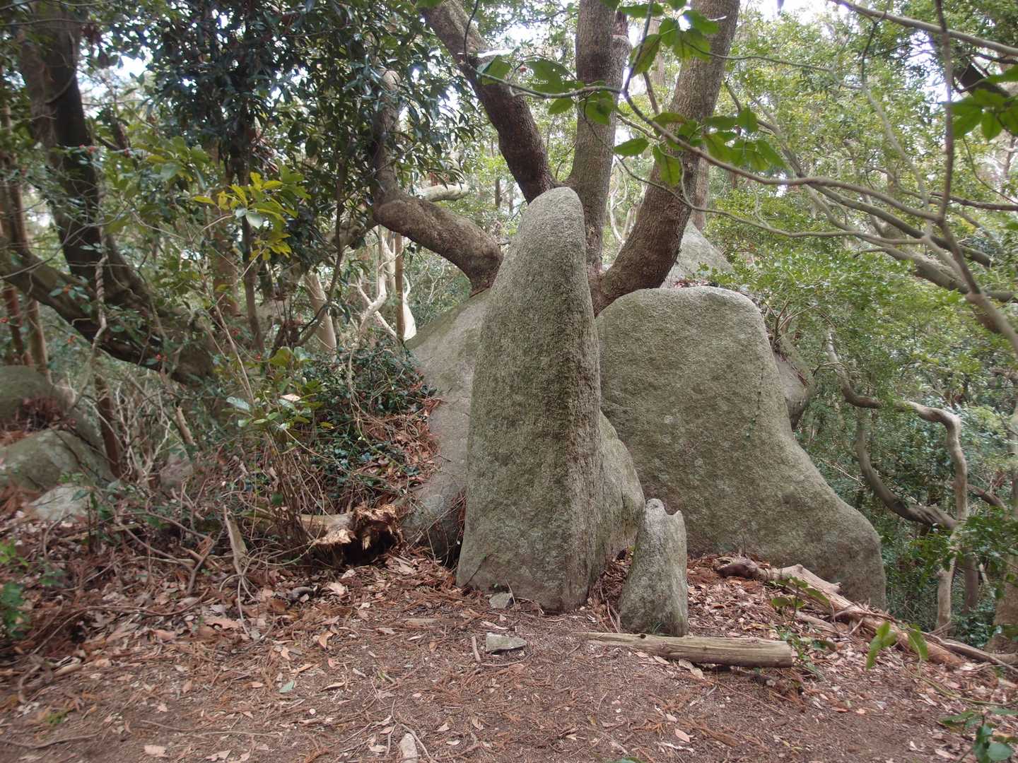 師吉公民館バス停-可也山登山口-石切場跡-可也山-遊歩道親 周回コースの写真