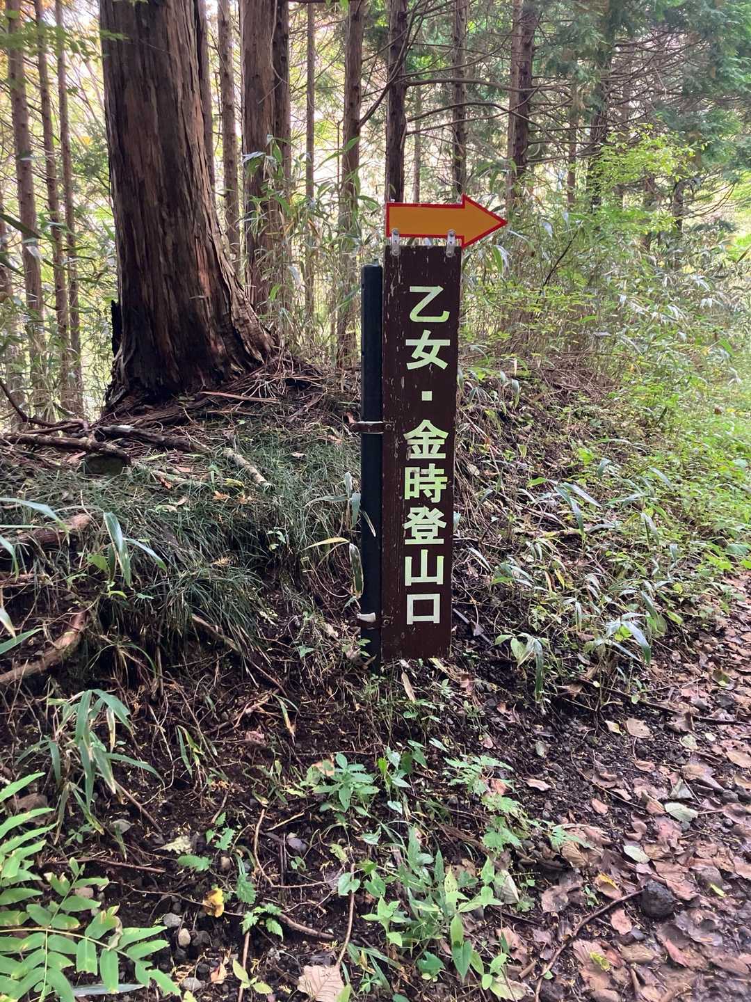 分かり易い！