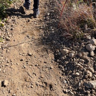 登山道の石をロープ側へ積み上げる
登山者がロープの内側へ入らないように
道が歩きやすいようにする作業
などなど他にも色々と作業はあります