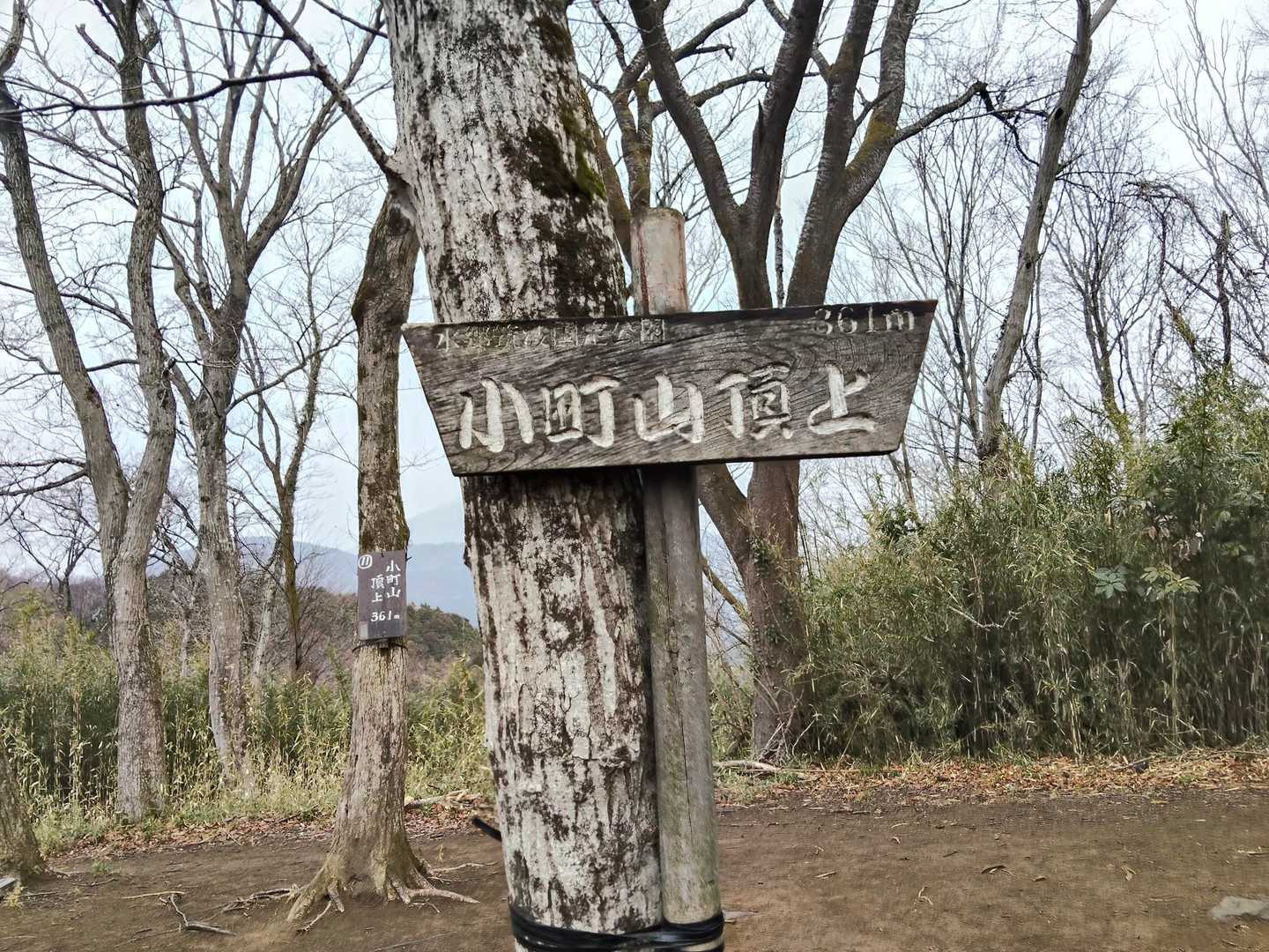 朝日峠ハイキングコース入口-小町山 往復コースの写真
