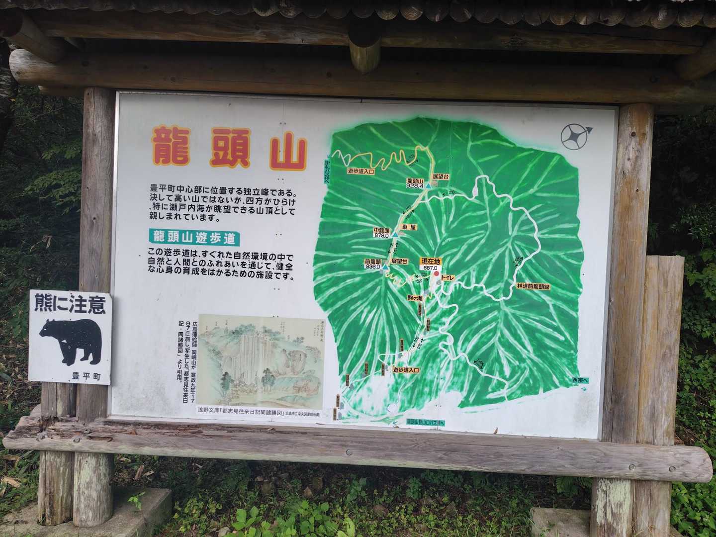 龍頭山 往復コースの写真
