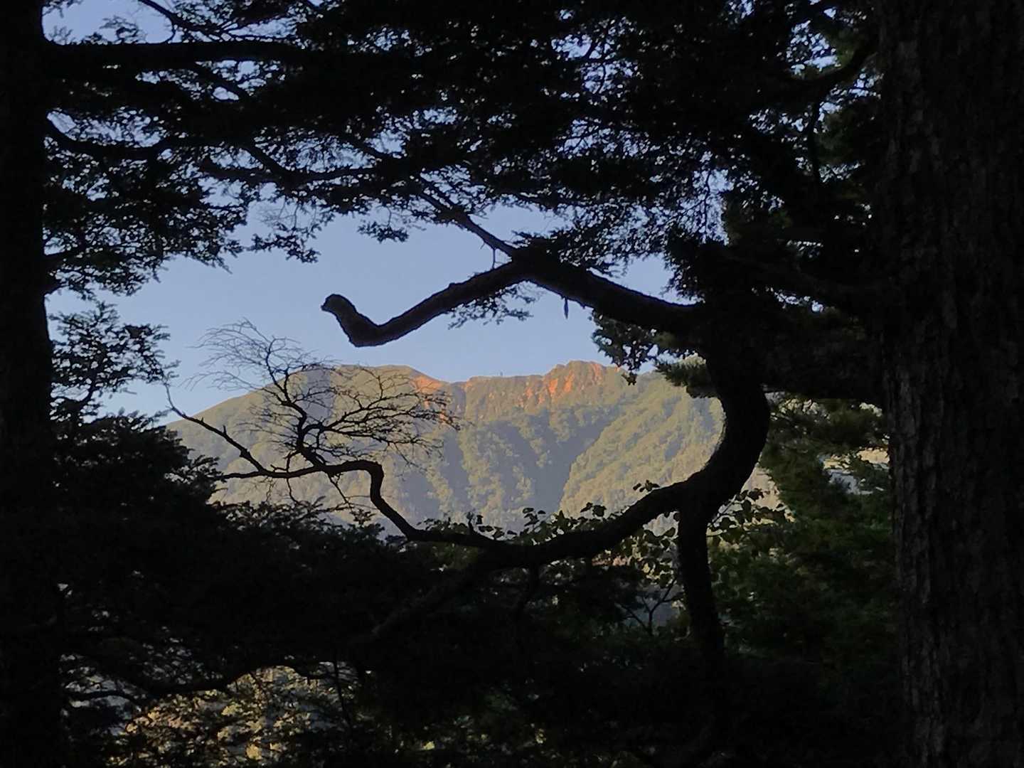 わぁ、素敵🤩