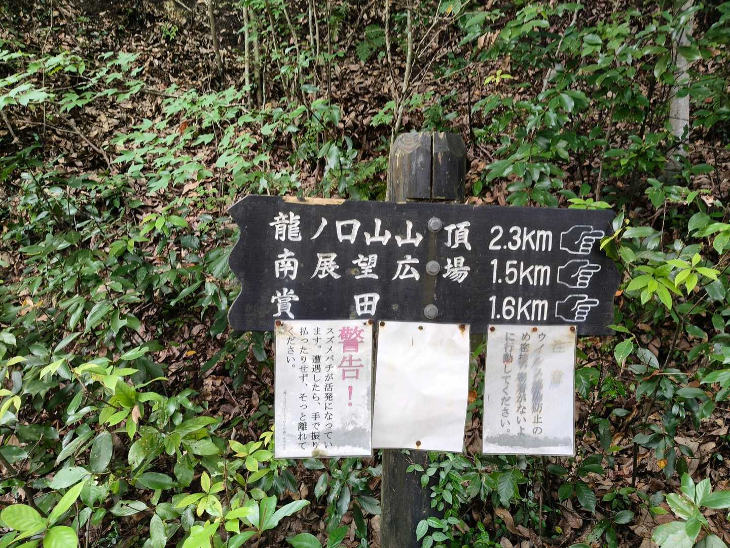 体調がイマイチ💦
登れる自信無し
