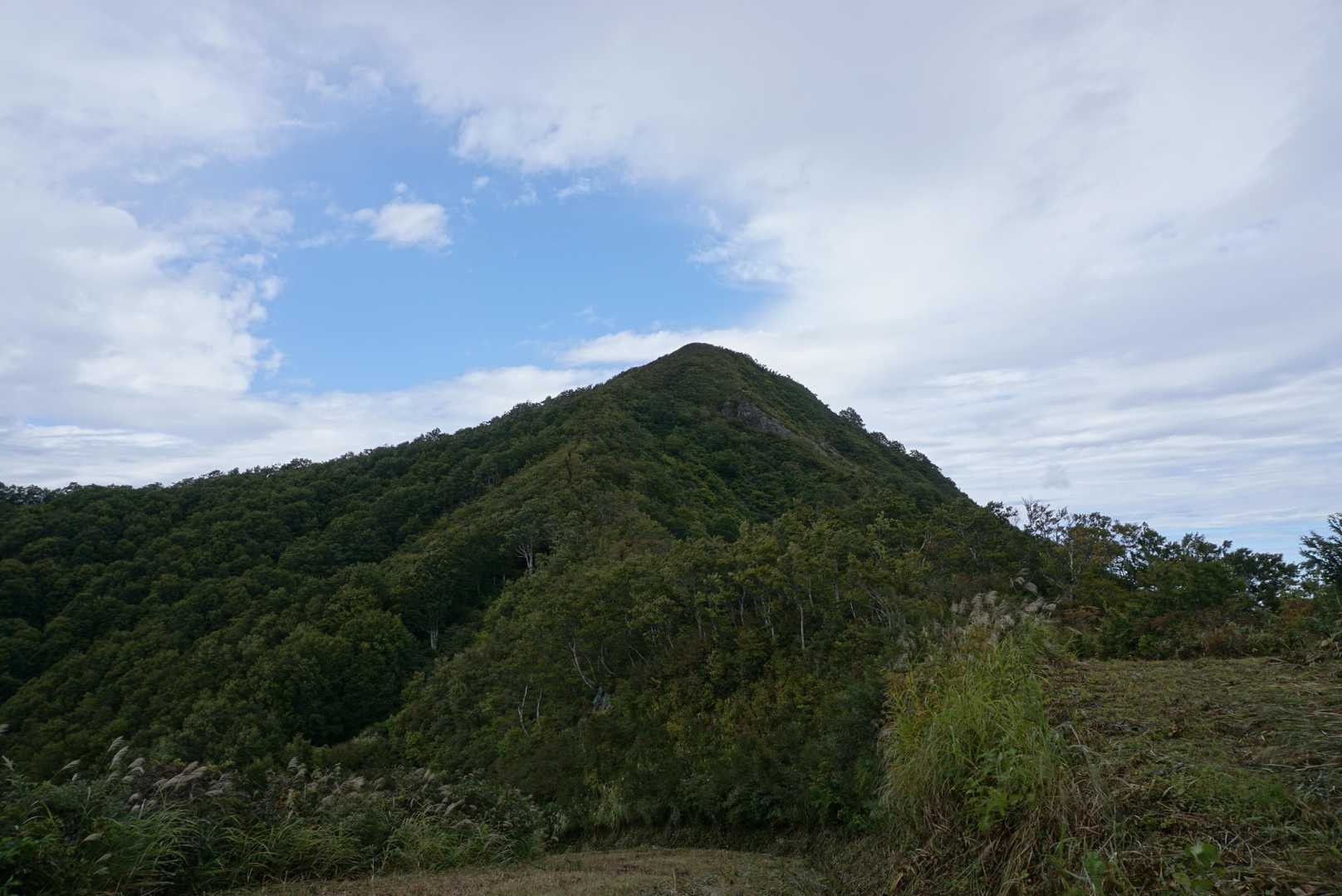 すっかり降りて来ちゃった