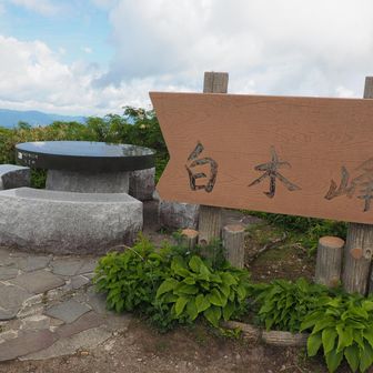 山頂です