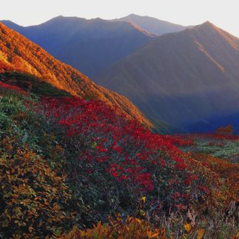 素晴らしい朝でした🍁⛰️