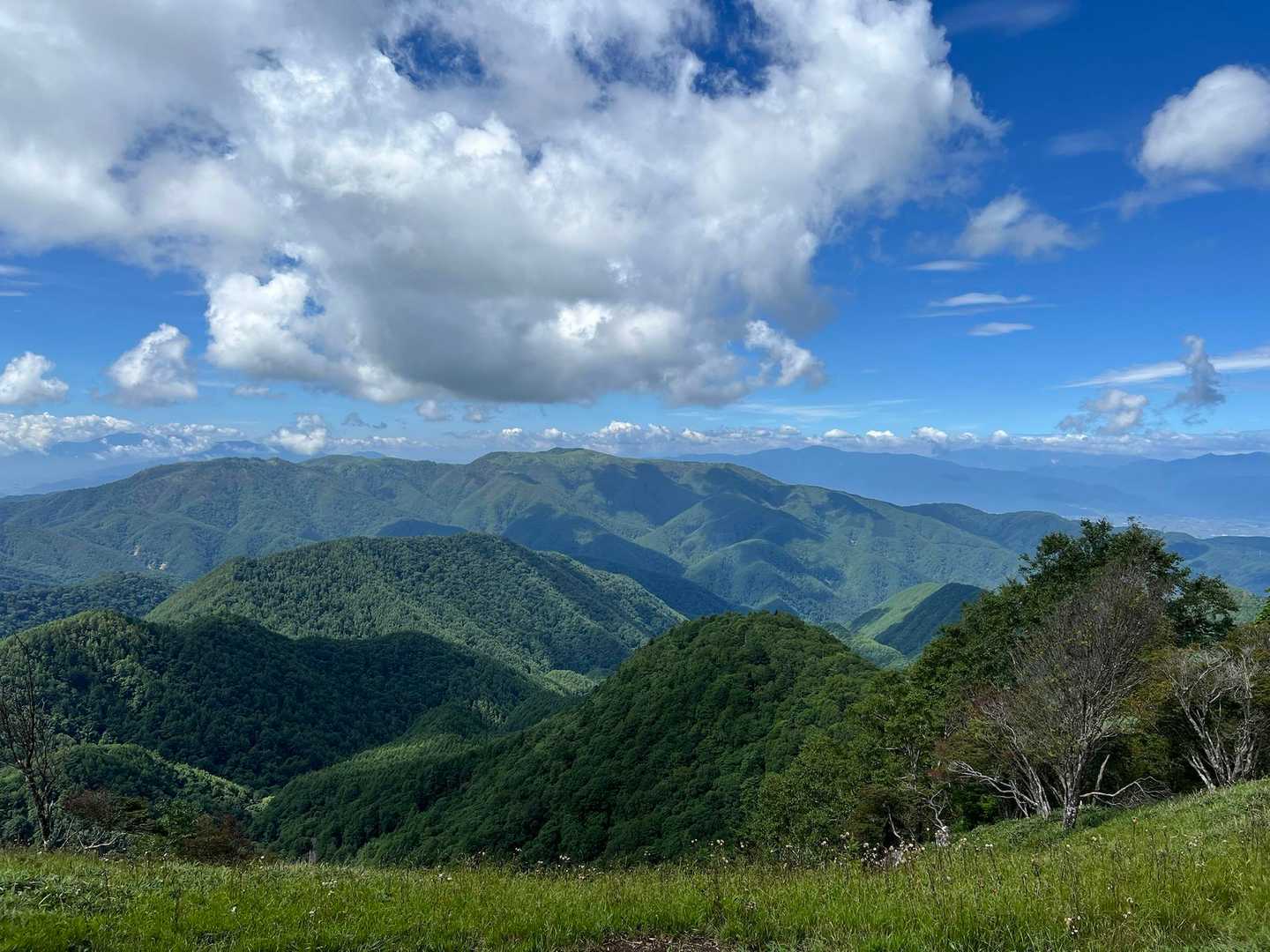 茶臼山 往復コースの写真