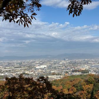 やっとこ元のルートに戻った😮‍💨