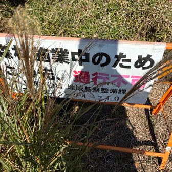 森林施業中による通行不可となってます。今回は工事の音も聞こえないので注意してどなような状況か見に行きました。
