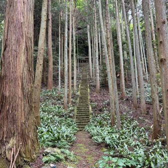 神社へ