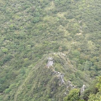 GODZILLA岩