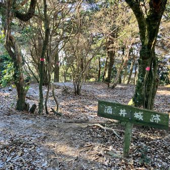 やっぱり廓だった。まあまあ急峻な山城だわ🏯こういう山城見るといつも思うのが、敵が来ても素通りされたらどうすんのかな？ってこと笑 「無理して陥さなくてもよくない？」と無視されることないのかな😅
