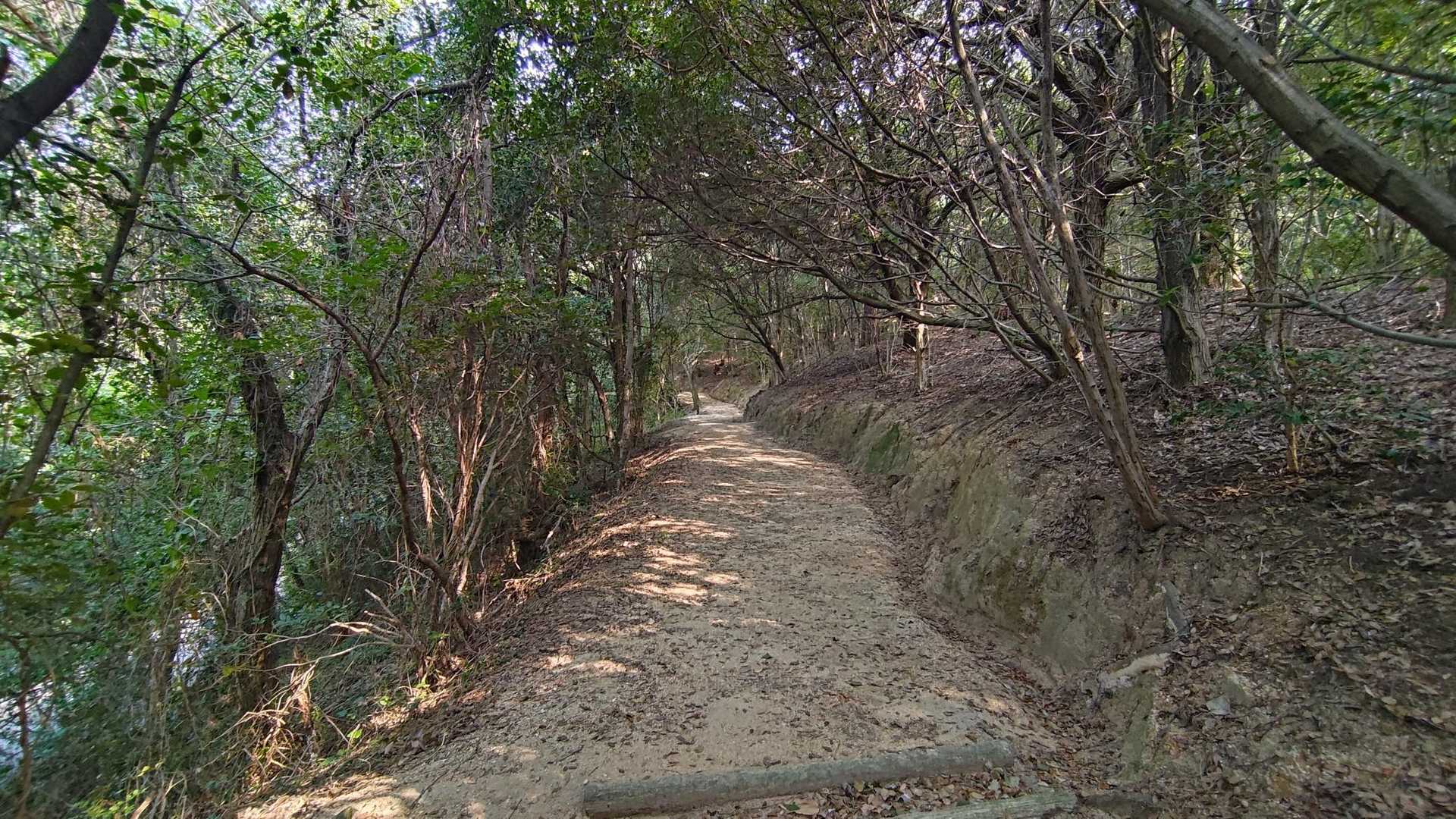 木陰の優しい道！
ここから、何人かとすれ違いました。
ランニングされてる方が多かったかな？
この暑い中、すごいです！