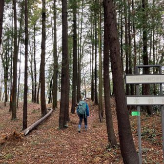 堀切や曲輪の表示板が設置されてる。